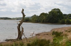 Carsington Water Wallpaper
