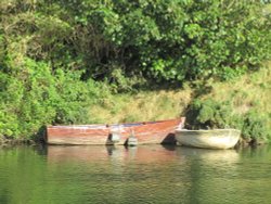 Rowing Boats Wallpaper