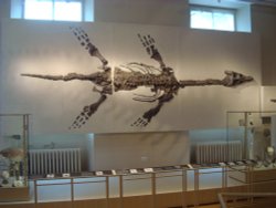 New Walk Museum Wallpaper