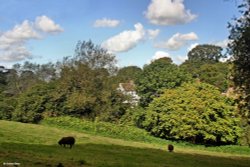 Sandford Orcas, Dorset. Wallpaper