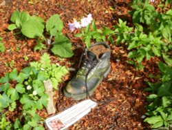 Hilltop Boot. Wallpaper