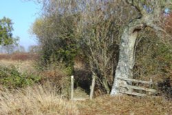 Countryside walk to Hampton Gay, Oxfordshire Wallpaper