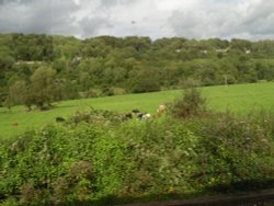 Beautiful views near Bradford-On-Avon Wallpaper