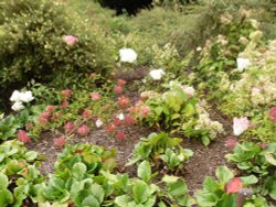 Blenheim Palace gardens Wallpaper