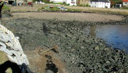 The Harbour Wallpaper