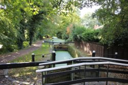 Basinstoke Canal  ( in all it's green glory ) Wallpaper