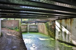 Under and over. Wallpaper