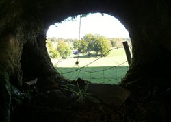 Quantock Hills Wallpaper