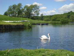 Linlithgow Loch Wallpaper
