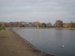 Round Pond Wallpaper