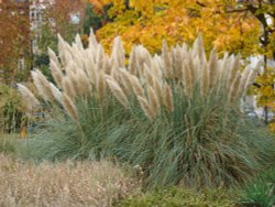 Beauty of Autumn Wallpaper