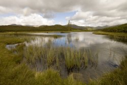 Lily Tarn above Ambleside Wallpaper