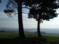 Wentworth Castle Gardens Wallpaper