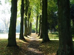 Wentworth Castle Gardens Wallpaper