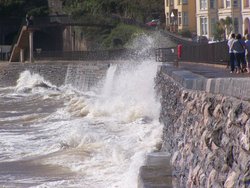 Dawlish by the sea Wallpaper