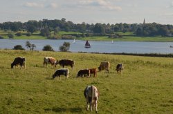View from Hambleton peninsula towards Edith Weston Wallpaper