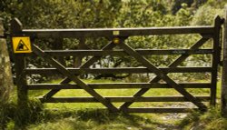 Ramblers dilemma Wallpaper