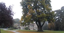 Rushden Hall Park Wallpaper