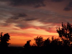 Back garden sunset Wallpaper