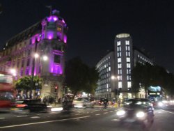 Night Lights Wallpaper