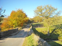 Wildboarclough Wallpaper