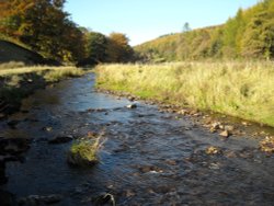 Wildboarclough Wallpaper