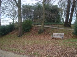 King Henry VIII's Mound Wallpaper