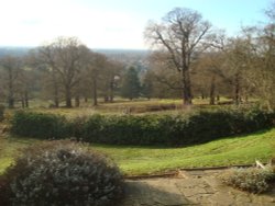 The public gardens of Pembroke Lodge Wallpaper
