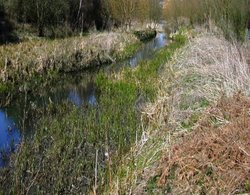 Remnants of the Dearne and Dove Canal Wallpaper
