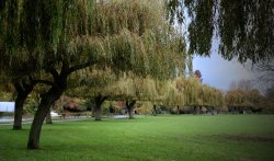 Stratford upon Avon Wallpaper
