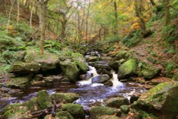 Padley Gorge Wallpaper