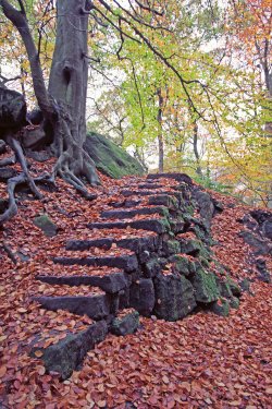 Padley Gorge