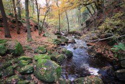 Burbage Brook Wallpaper