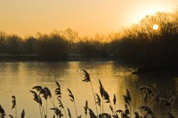 Branston Water Park Wallpaper