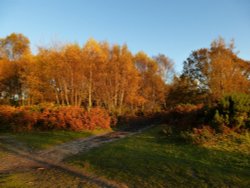 A Season of Colour Wallpaper