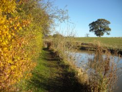 Wormleighton Wallpaper