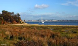 Arne Autumn 2012 Wallpaper