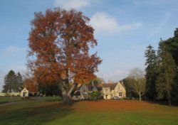 Rushden Hall Park Wallpaper