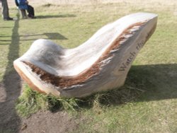 A chair at Minsmere Nature Reserve Wallpaper