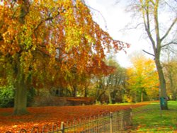 Autumn in Matlock Wallpaper