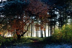 Kingsbury Water Park Wallpaper