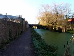 Sampford Peverell Wallpaper