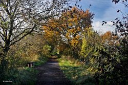 The North Dorset Trailway Wallpaper