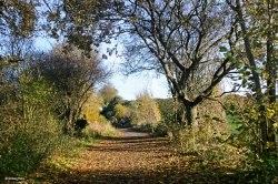 The North Dorset Trailway Wallpaper