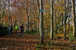 The North Dorset Trailway Wallpaper