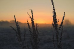 Kingsbury Water Park Wallpaper