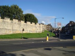 Fishergate Wallpaper