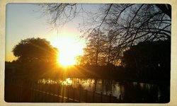 Valence Park,Dagenham Wallpaper