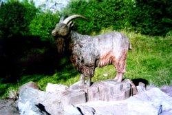 Wood carving  at Crich Wallpaper