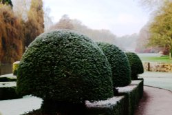 Coombe Abbey Wallpaper